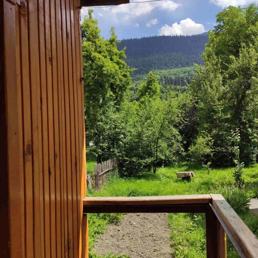 Wooden House Villa Mestia Luaran gambar